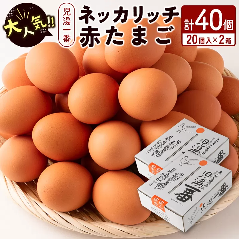 ＜児湯養鶏自慢の卵 ＞ネッカリッチ赤たまご「児湯一番」計40個（20個入×2箱）【B19】