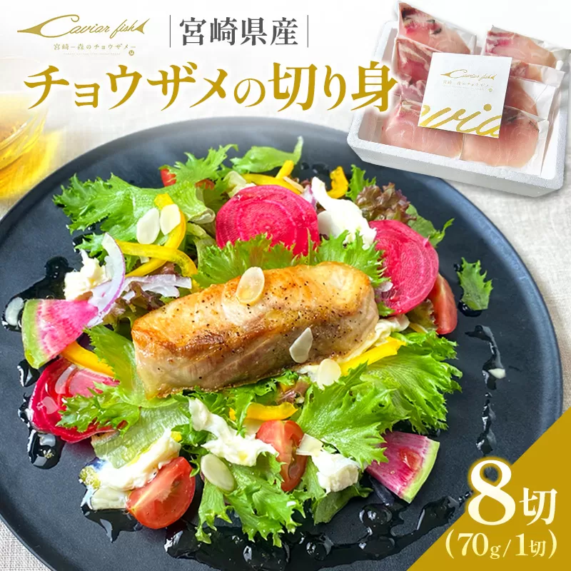 チョウザメの切り身70g×8パック 魚介 真空パック カット済み 国産 切身 [B687]