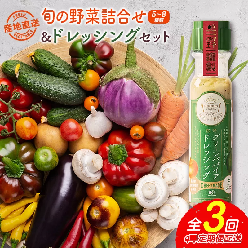 産地直送！旬の野菜（5〜8種類）＆ドレッシング セット 3か月定期便 おまかせ 詰合せ 宮崎県新富町産【E213】