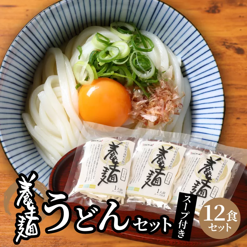 ＜養生麺うどん詰合せ 12袋入り＞ K10_0002_2