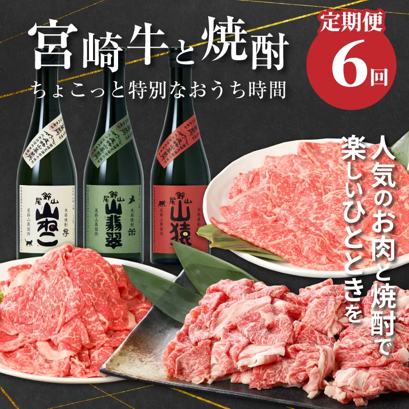 【定期便6回】宮崎牛と焼酎　ちょっと特別なおうち時間 K00_T013_2