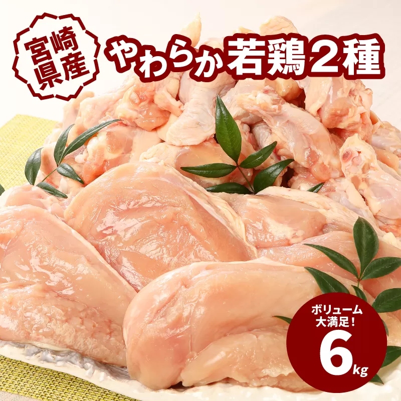  宮崎県産鶏 やわらか若鶏2種6kg K16_0027_2