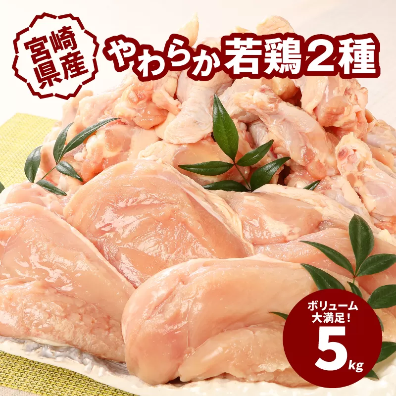  宮崎県産鶏 やわらか若鶏2種5kg K16_0016_3