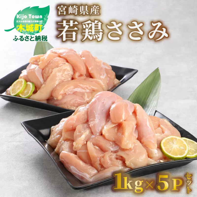  宮崎県産若鶏ささみ　1kg×5パック K16_0045_2