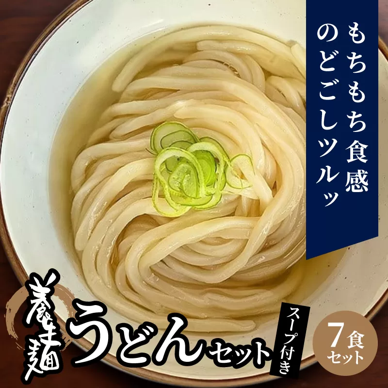 養生麺うどんセット（冷凍）スープ付き K10_0004_2