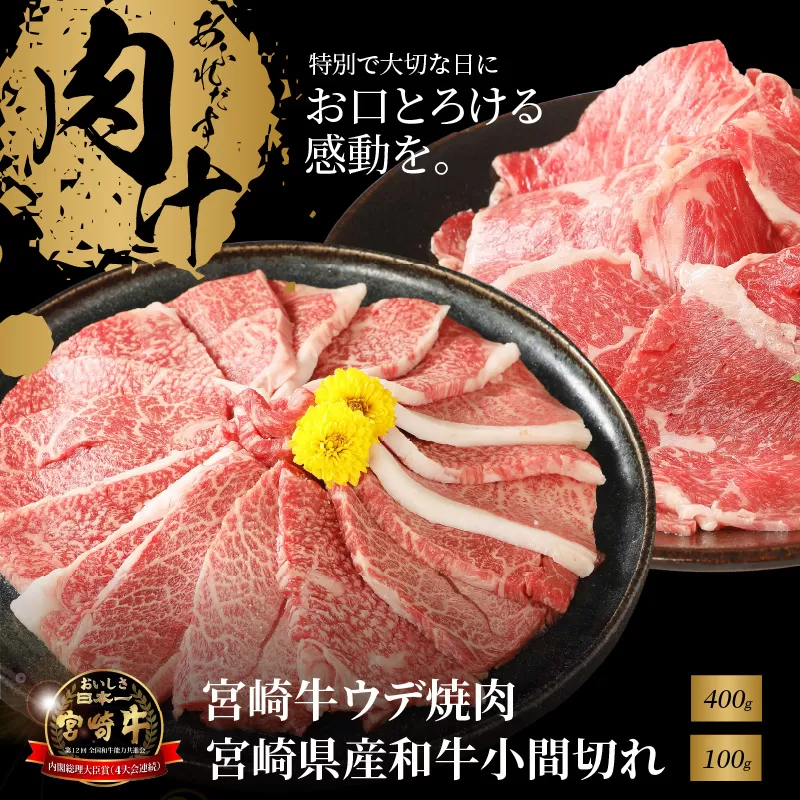 宮崎牛 ウデ焼肉400ｇ　宮崎県産和牛小間切れ100ｇ  K18_0025_6