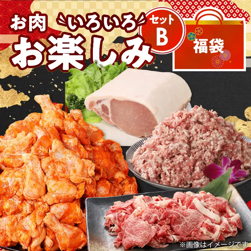  福袋 木城町 お肉いろいろお楽しみセットB K16_0070_3