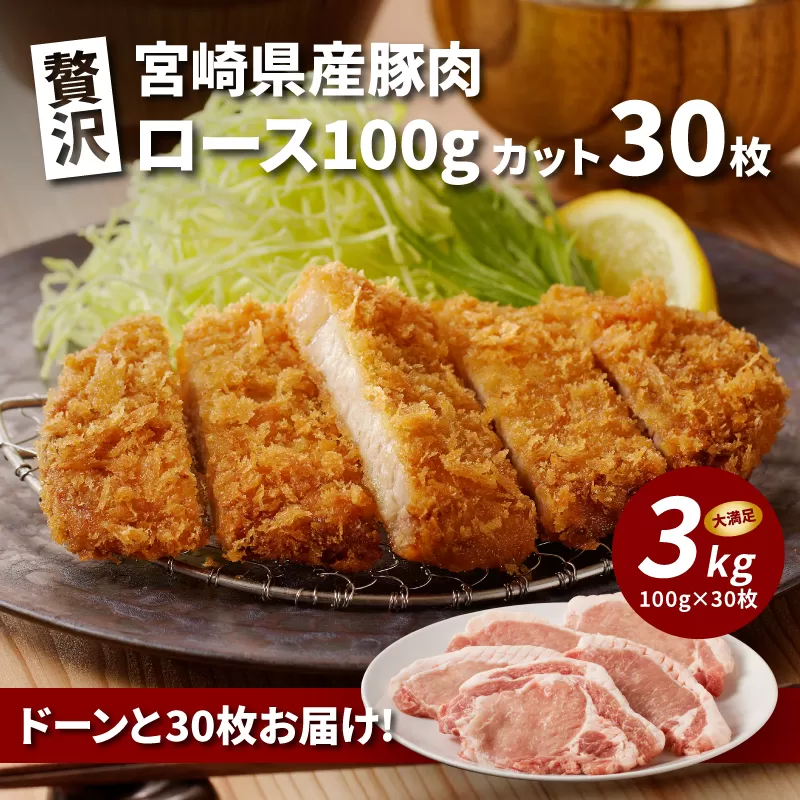 贅沢宮崎県産豚肉ロース100gカット30枚 K16_0018_2