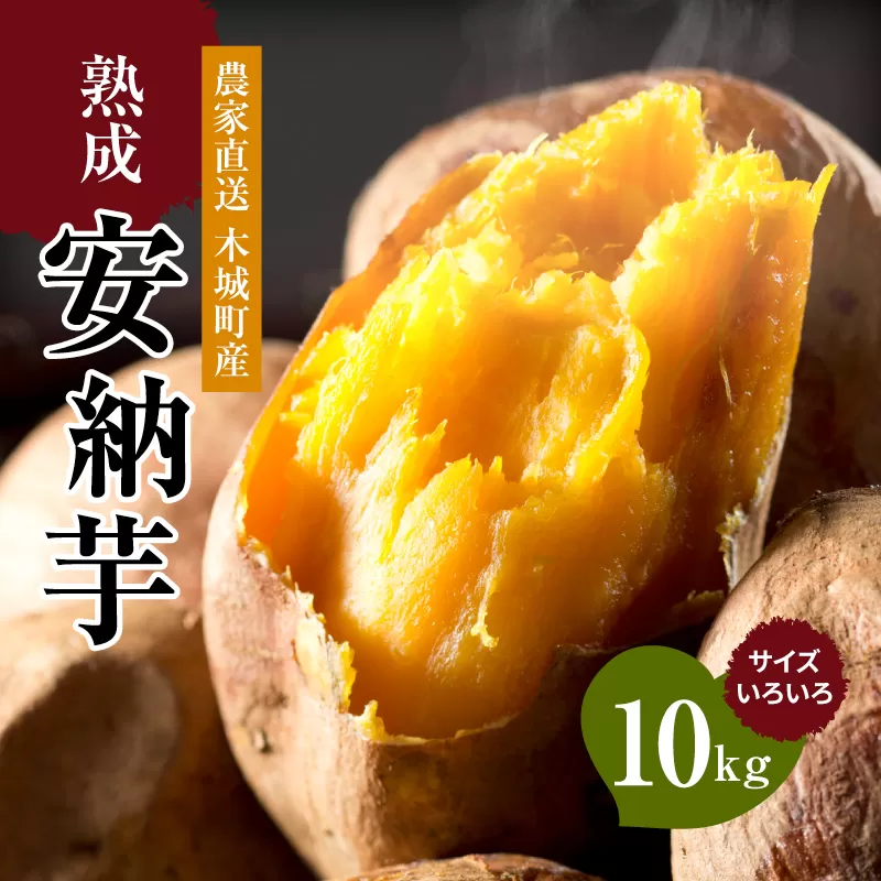 農家直送 木城町産 熟成安納いも10キロ K30_0002_1