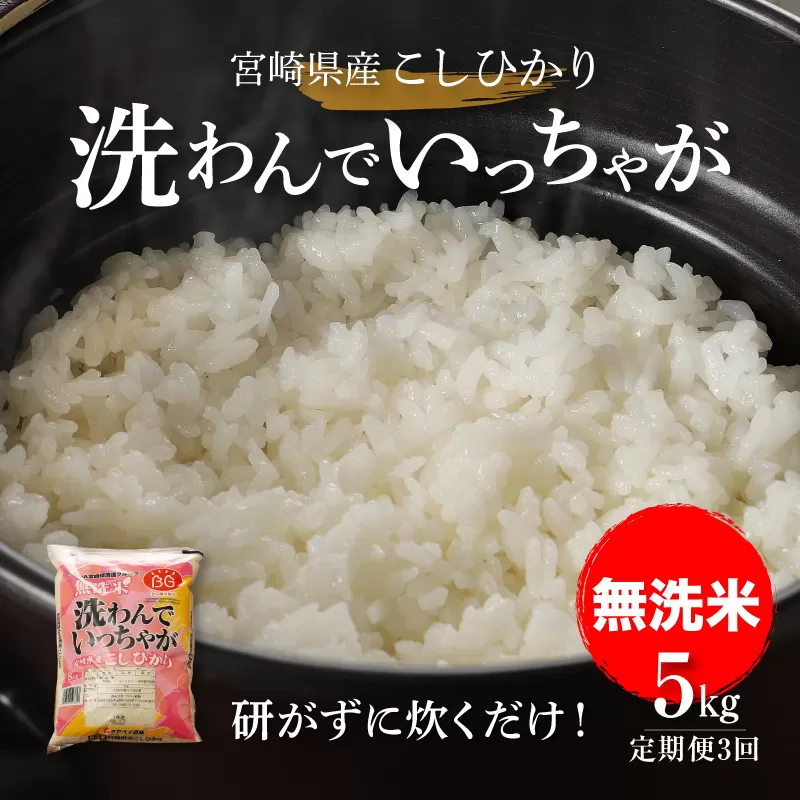 無洗米コシヒカリ 洗わんでいっちゃが５kg３回定期便  計15kg K23_T006_1