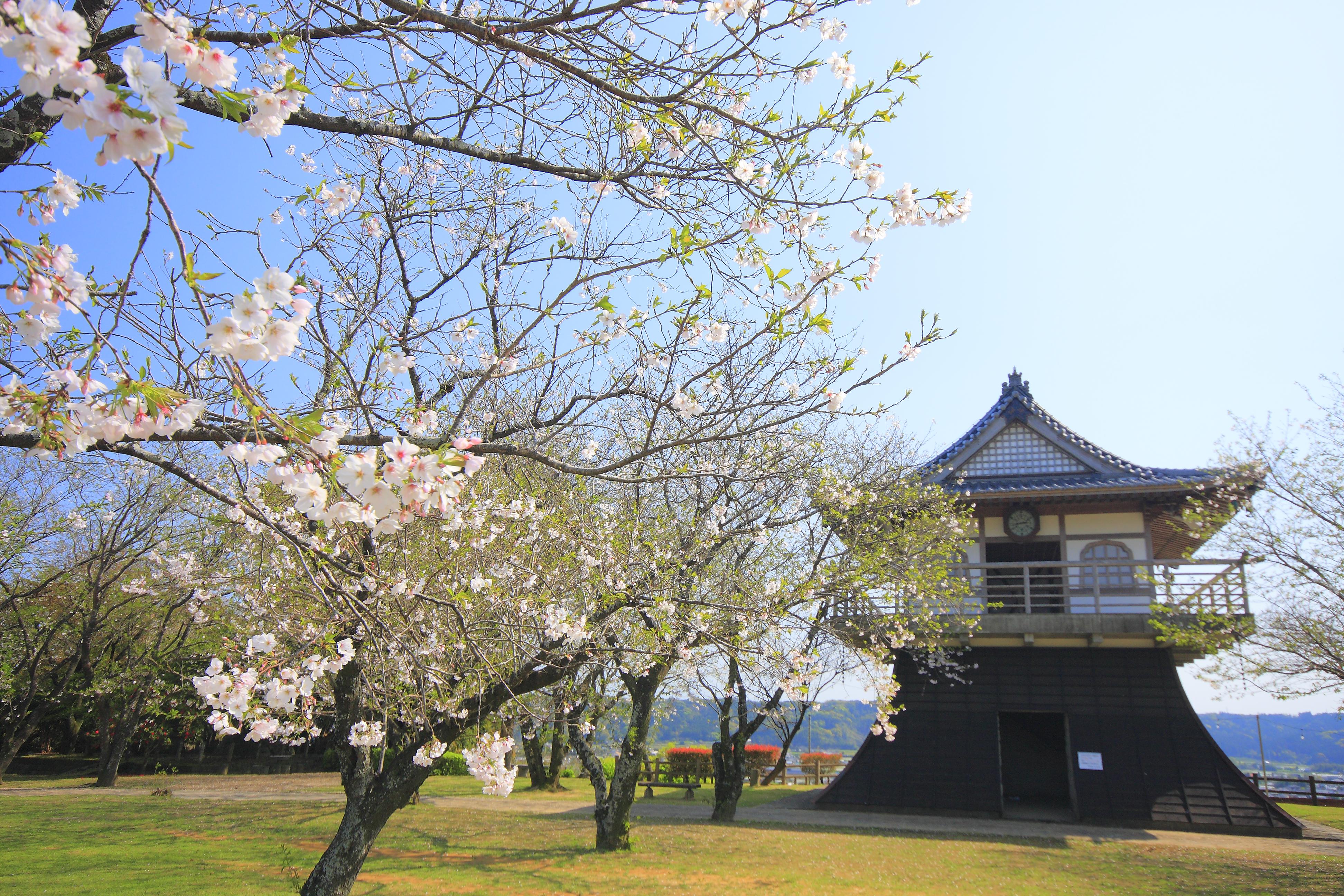 宮崎県木城町