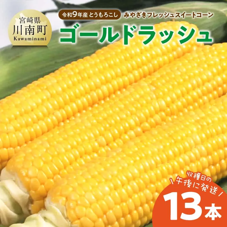 【令和9年発送】　宮崎県産とうもろこし　みやざきフレッシュスイートコーン「ゴールドラッシュ」13本 新鮮 朝どれ 農家直送 トウモロコシ 産地直送 期間限定 数量限定 真空予冷 JA