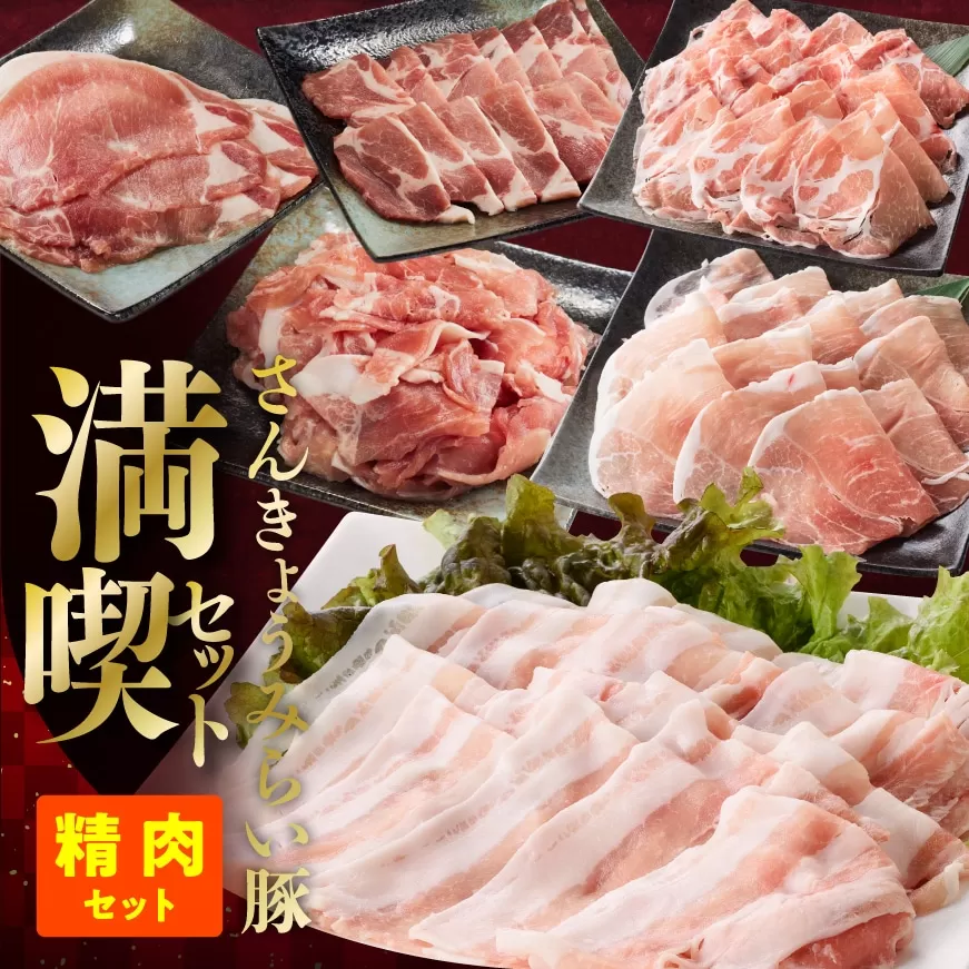 【令和7年11月発送】【いろんな料理にアレンジできちゃう満喫コース】（精肉）さんきょうみらい豚満喫セット【豚肉 ポーク ぶた 国産 宮崎県産 さんきょうみらい豚 大人気】