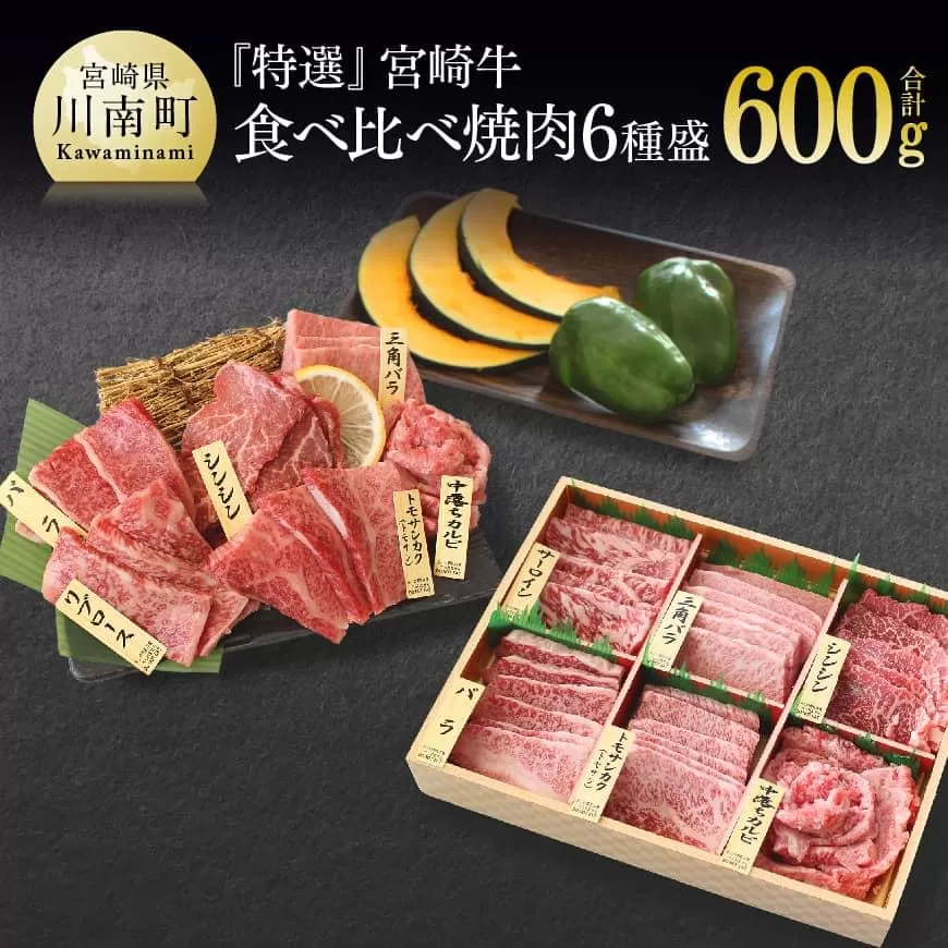 【特選】宮崎牛6種盛 焼肉食べ比べセット 肉 牛肉 国産 黒毛和牛 肉質等級4等級以上 4等級 5等級 焼肉