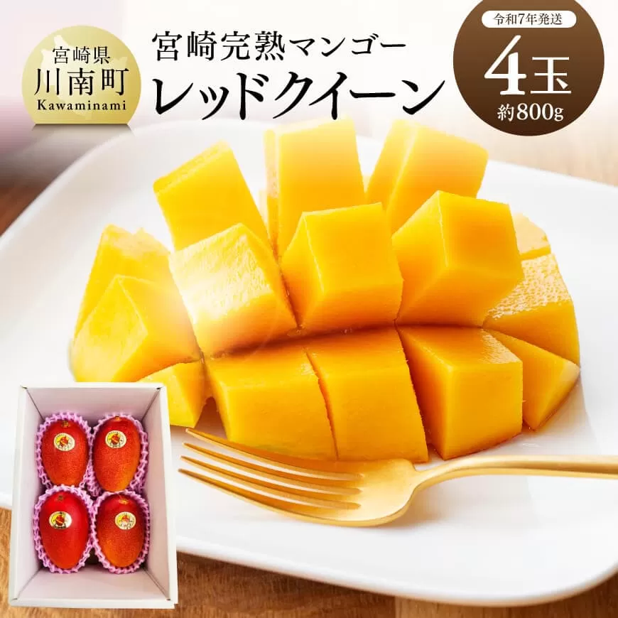 【令和7年発送】宮崎県産完熟マンゴー 「レッドクイーン」4玉(800g)  果物 フルーツ マンゴー 宮崎県産 完熟マンゴー みやざきマンゴー 先行予約 数量限定 期間限定 