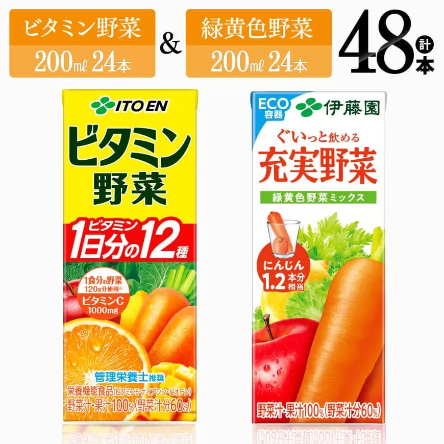 ビタミン野菜(紙)24本+緑黄色野菜(紙)24本 伊藤園 飲料類 野菜 緑黄色野菜 ビタミン野菜 ジュース セット 詰め合わせ 飲みもの