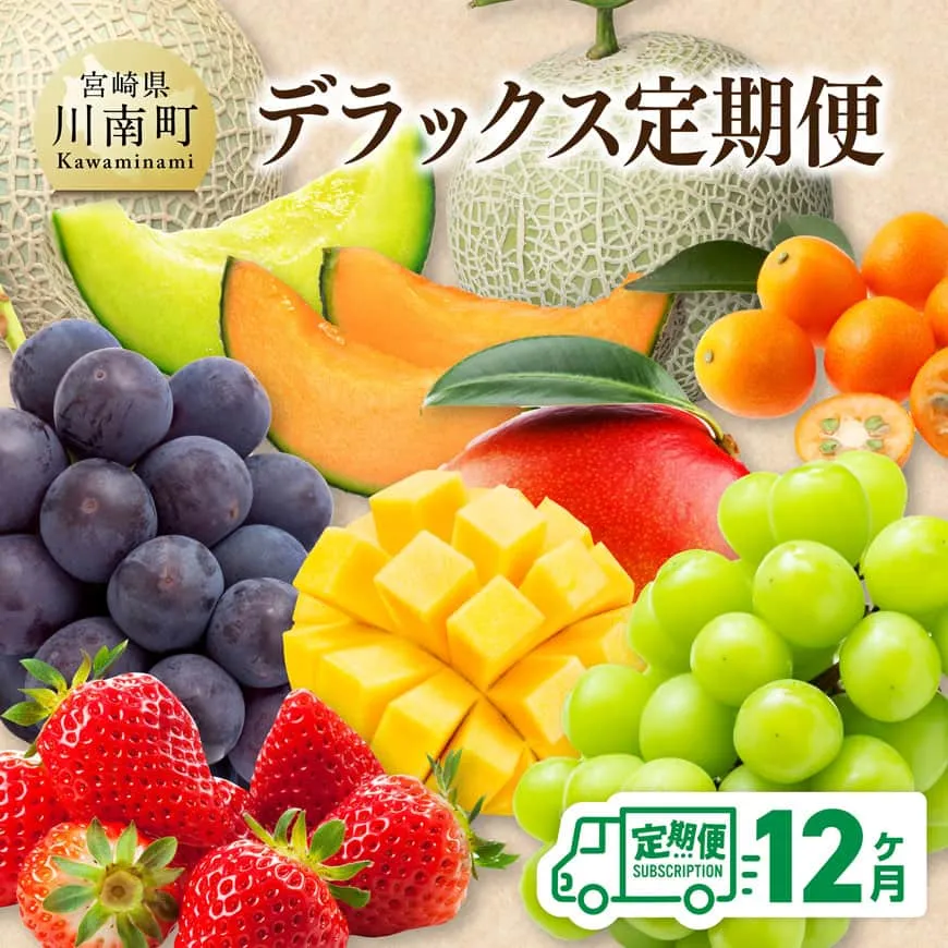 【 12ヶ月定期便 】 デラックス 定期便 川南町産 くだもの きんかん いちご 完熟 マンゴー ぶどう ピオーネ シャイン マスカット 大玉 メロン