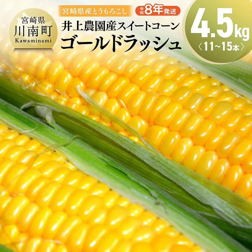 [令和8年発送]宮崎県産とうもろこし 井上農園産スイートコーン(ゴールドラッシュ)4.5kg トウモロコシ スィートコーン 2026年発送 先行予約 数量限定 期間限定