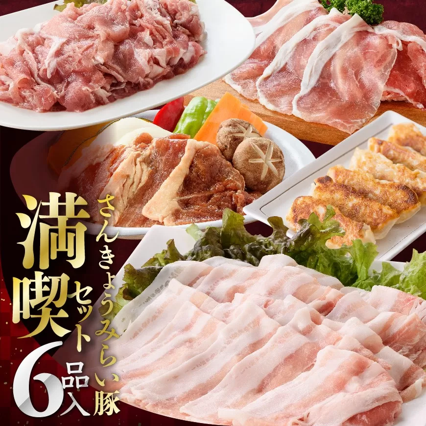 ※令和7年7月発送分※小分けで使いやすい！さんきょうみらい豚満喫セット 【 しゃぶしゃぶ 切り落とし ウデ モモ 鉄板焼 餃子 生ハム切り落とし ハンバーグ 】