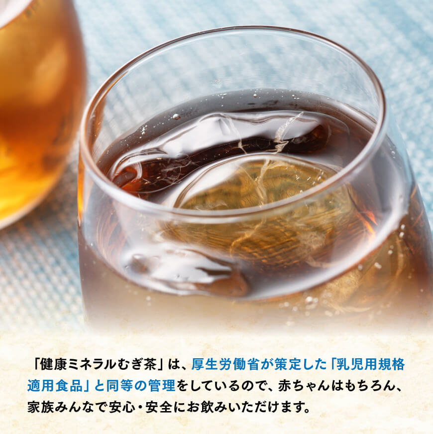 2025/08/31まで※伊藤園 健康ミネラル むぎ茶 650ml×48本 PET