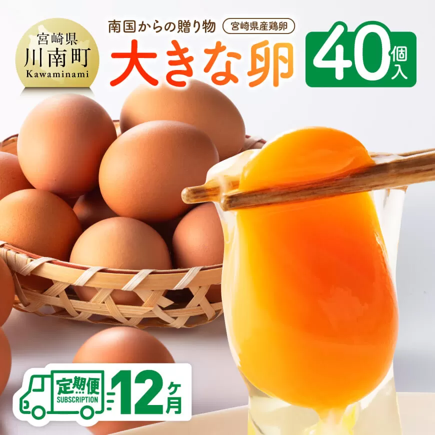 【12ヶ月定期便】宮崎県産鶏卵　「南国からの贈り物」大きな卵40個入り（35個+破損補償5個） 卵 たまご 新鮮 生卵 タマゴ おうち時間