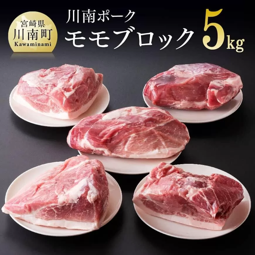 川南ポーク モモ ブロック 5kg 国産 九州産 宮崎県産 肉 豚肉 もも肉 ブロック たっぷり 大容量