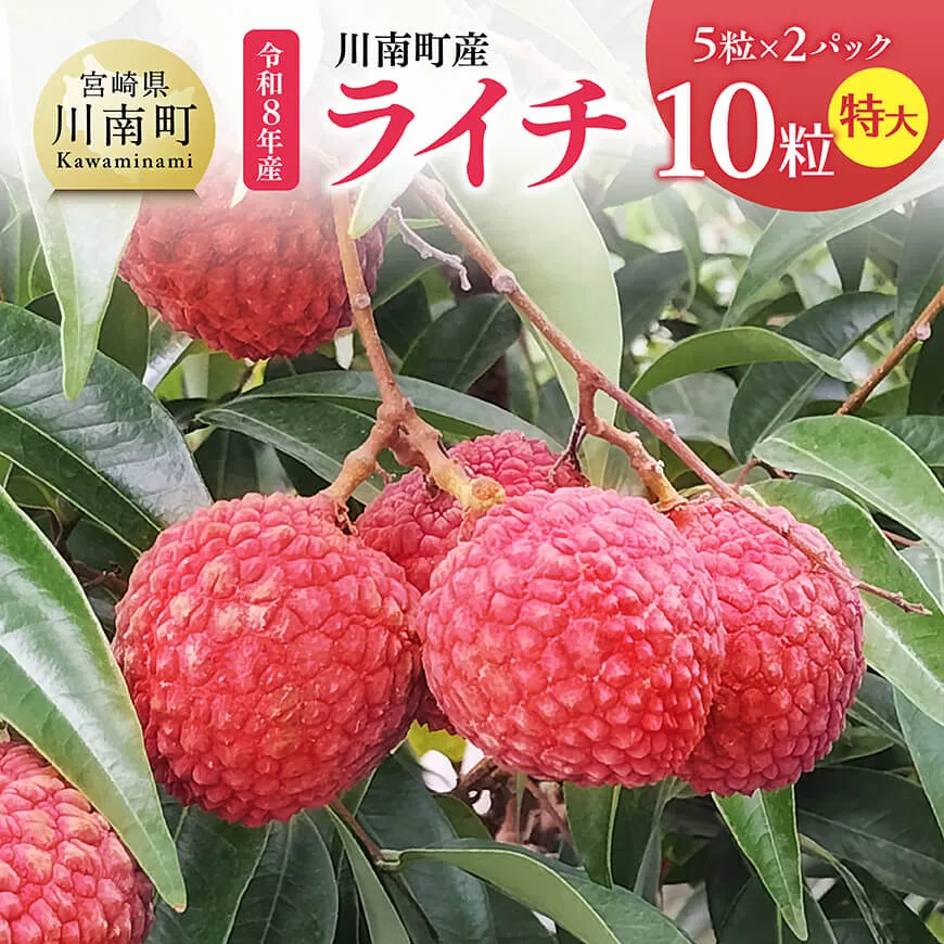 【令和8年産】川南町産ライチ(特大)10粒(5粒×2パック) 国産ライチ フルーツ デザート 宮崎県産