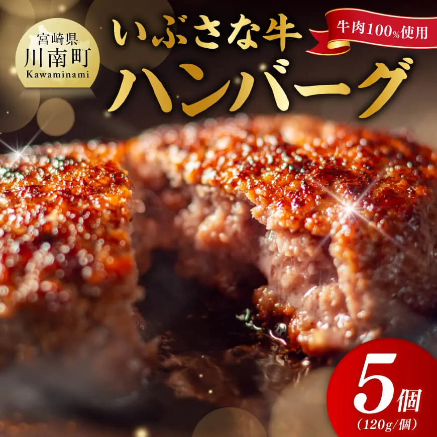 【川南町産】ブランド和牛　いぶさな牛ハンバーグ120g×5個 宮崎県産 牛 ハンバーグ 黒毛和牛