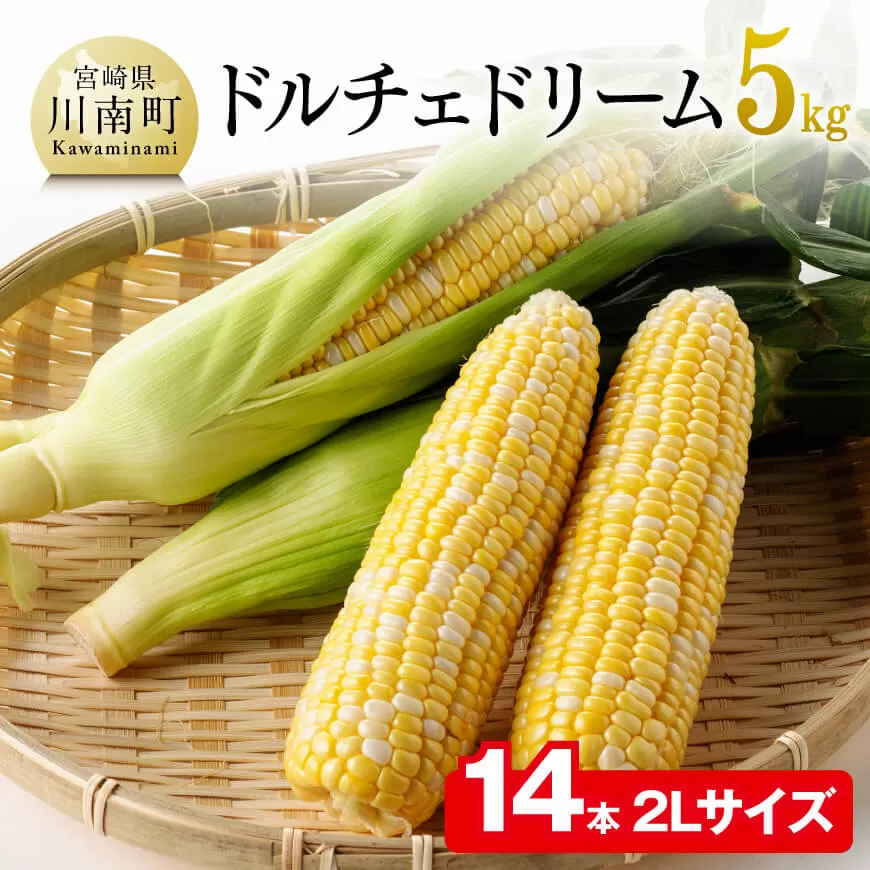 【令和7年発送】朝どれ！守部さんちのドルチェドリーム (2L)5kg 先行予約 数量限定 期間限定 とうもろこし スイートコーン トウモロコシ スィートコーン 令和7年発送 野菜