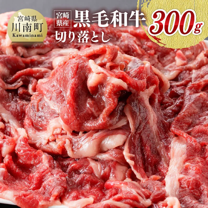 宮崎県産黒毛和牛 切り落とし 300g 九州産 宮崎産 牛肉 牛 肉 牛丼 炒めもの 牛肉