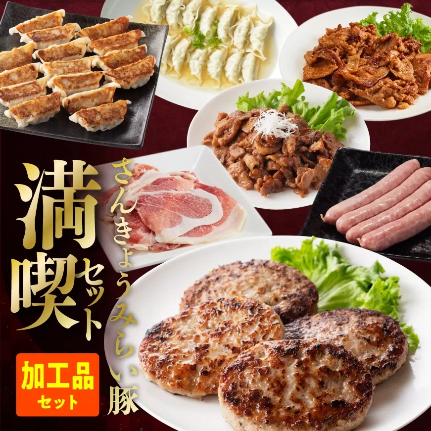 【令和7年8月発送】【かんたん調理で満喫コース】（加工品）さんきょうみらい豚満喫セット 豚肉 ポーク ぶた 国産 宮崎県産 さんきょうみらい豚 大人気 