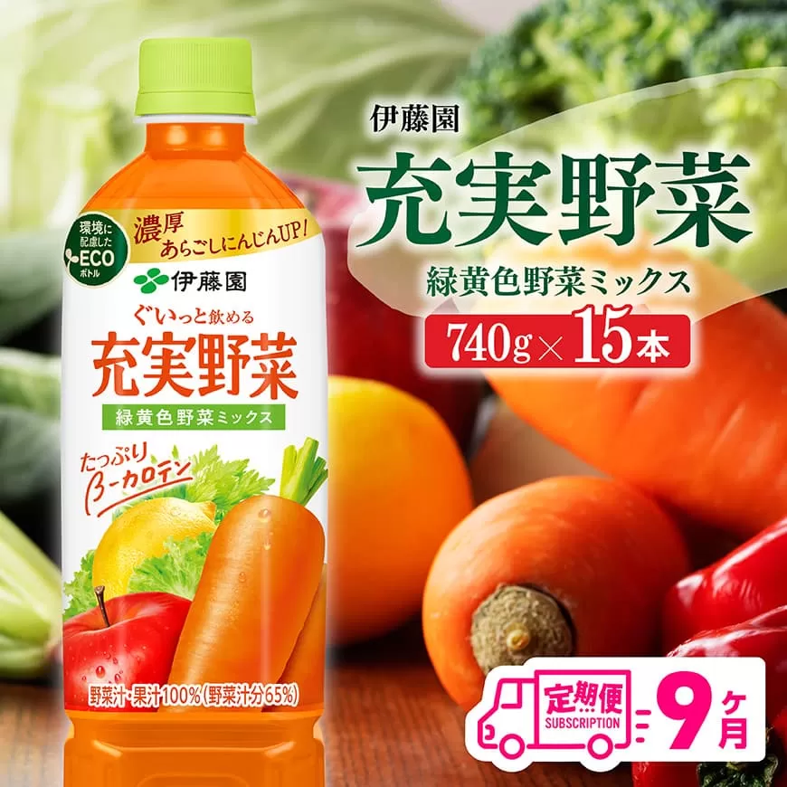 【9ヶ月定期便】充実野菜 緑黄色野菜ミックスペットボトル 740g×15本  伊藤園 野菜ジュース 全９回 健康 ヘルシー