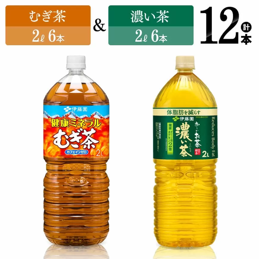 伊藤園 むぎ茶(2L)&濃い茶(2L)(PET)12本 伊藤園 飲料類 お茶 麦茶 濃い茶 緑茶 PET セット 詰め合わせ 飲みもの