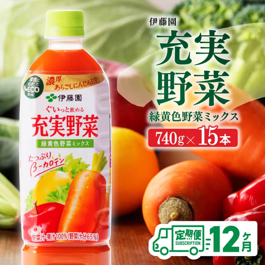【 定期便 】 充実野菜 緑黄色野菜 ミックスペットボトル 740g×15本 12ヶ月定期便 伊藤園 野菜ジュース 全１２回 健康 ヘルシー