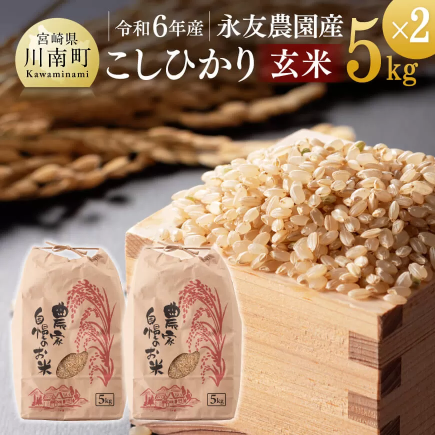 コシヒカリ特別玄米・20㌔❣️農薬無し
