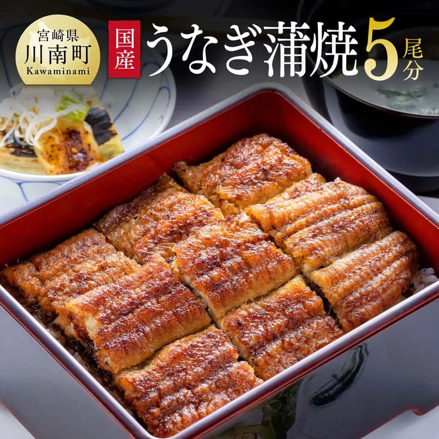 【名店の味！宮崎県産鰻】 ひむか山道うなぎ蒲焼５尾分（650ｇ以上） 魚介類 鰻 惣菜 かば焼き うなぎ