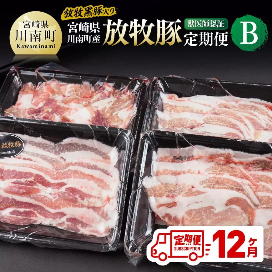 【12ヶ月定期便】宮崎県川南町産豚肉　放牧豚定期便B（放牧黒豚入り） 豚 肉 豚肉 黒豚 国産 九州産 宮崎県産 川南町 加工品 セット 送料無料