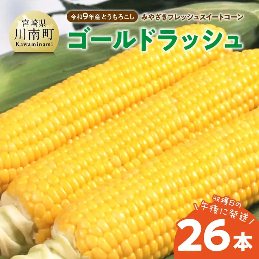 【令和9年発送】　宮崎県産とうもろこし　みやざきフレッシュスイートコーン「ゴールドラッシュ」26本 新鮮 朝どれ 農家直送 トウモロコシ 産地直送 期間限定 数量限定 真空予冷 JA