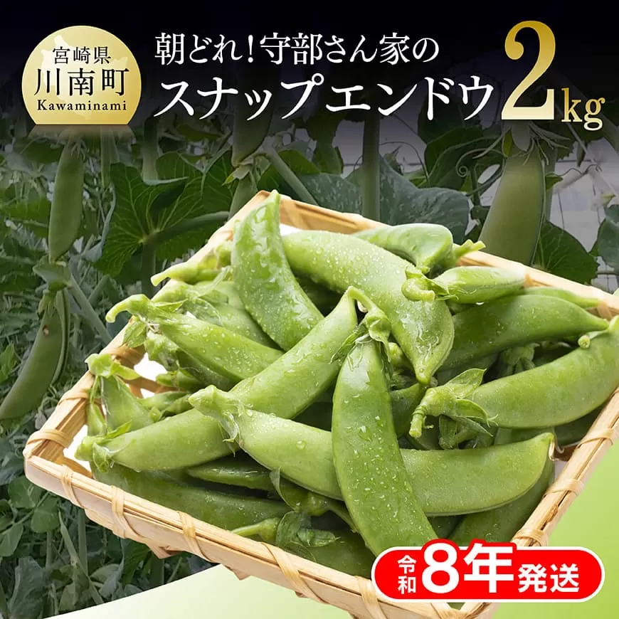 【令和8年発送】朝どれ！守部さん家のスナップエンドウ2.0kg 野菜 宮崎県産 エンドウ豆 えんどう豆 おつまみ 2026年発送
