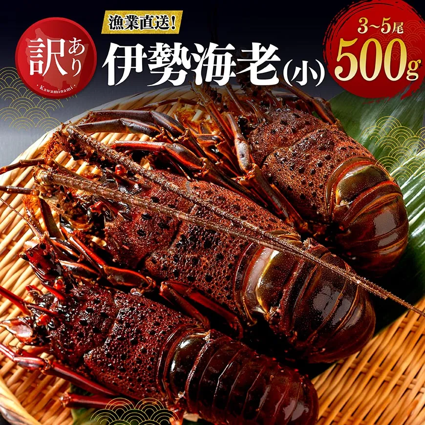 【訳あり！】【漁協直送！】冷凍伊勢海老（小）500g　(3～5尾) 魚介 伊勢海老 イセエビ 訳あり 宮崎県 川南町 送料無料