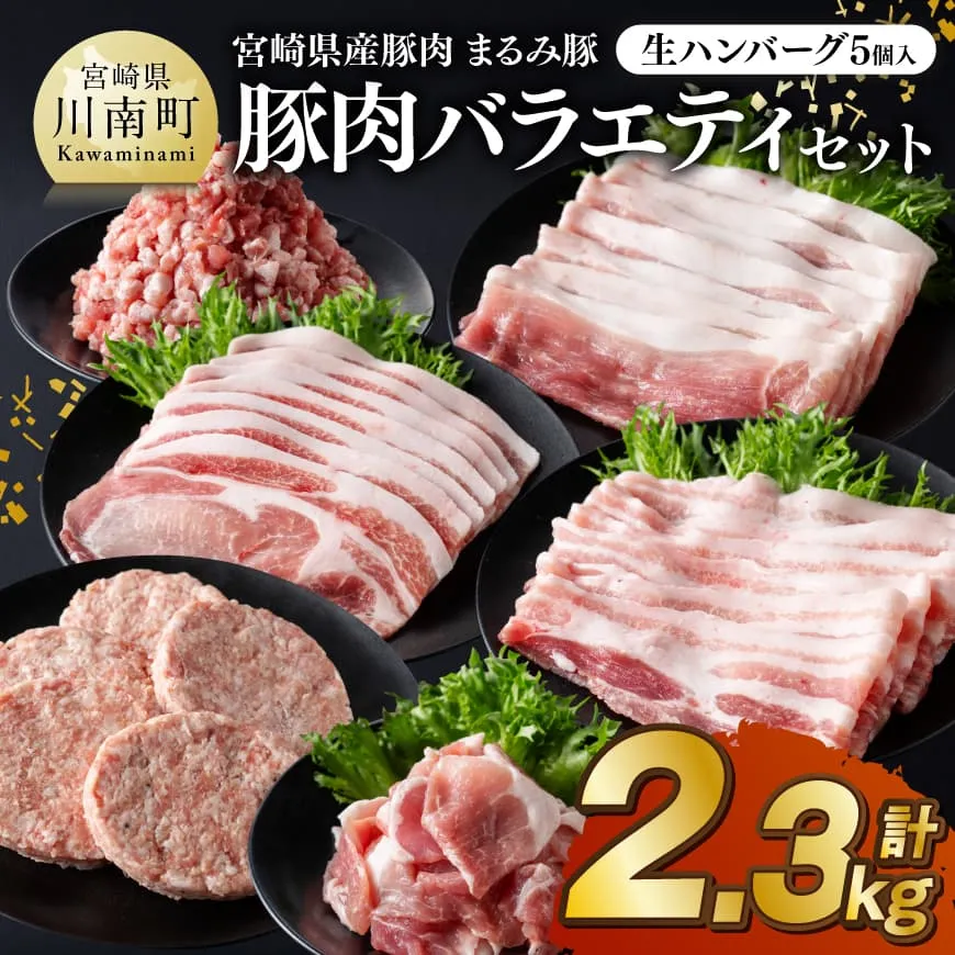宮崎県産豚肉 「まるみ豚」総重量2.3kg豚肉バラエティセット　生ハンバーグ5個入り 肉 豚肉 国産 ハンバーグ 小分け 弁当 おかず お手軽 真空パック バラ モモ ロース こま切れ スライス ミンチ 挽肉 九州産 川南町産