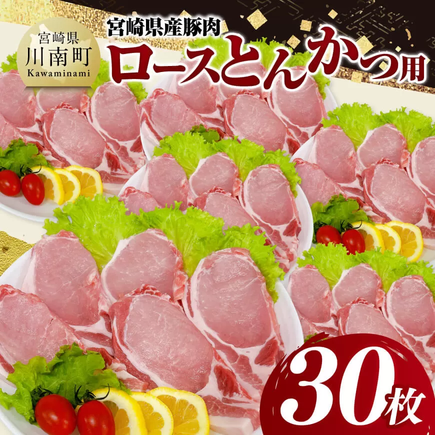 宮崎県産豚肉ロースとんかつ用30枚 豚肉 豚 肉 宮崎県産 ロースカツ 送料無料