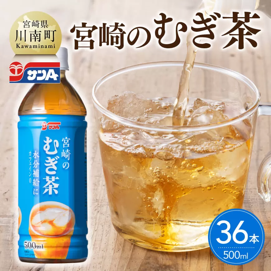 サンA宮崎のむぎ茶 500ml PET×18本×2ケース 飲料 お茶 麦茶 宮崎県産 ペットボトル