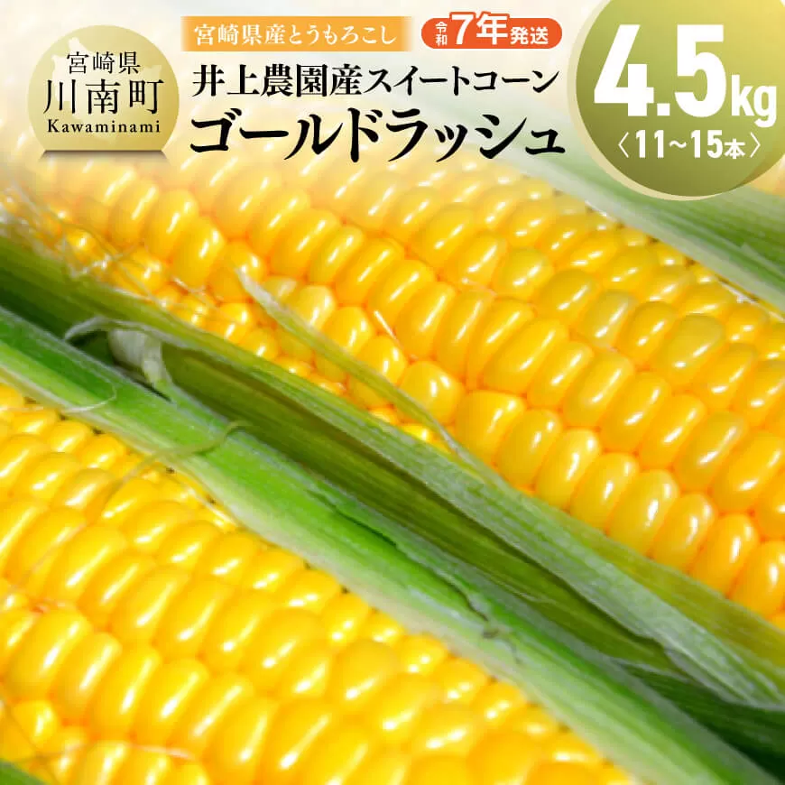 【令和7年発送】宮崎県産とうもろこし　井上農園産スイートコーン「ゴールドラッシュ」4.5kg トウモロコシ スィートコーン 2025年発送 先行予約 数量限定 期間限定