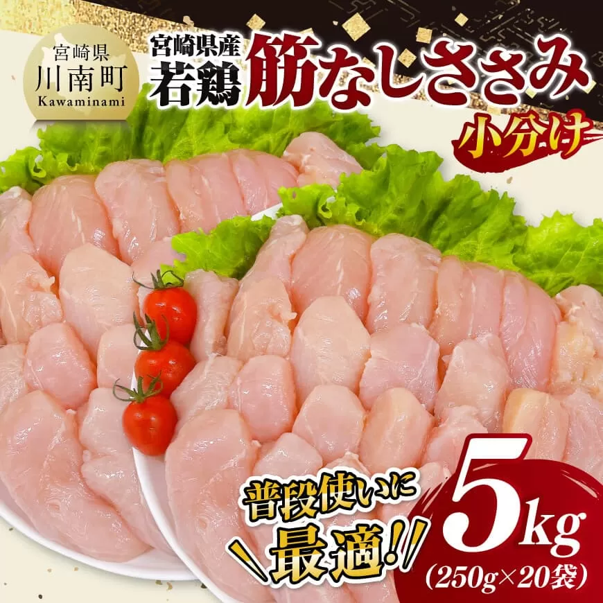 宮崎県産若鶏 筋なしささみ5kg(250g×20) 鶏肉 とり肉 ささみ 真空パック