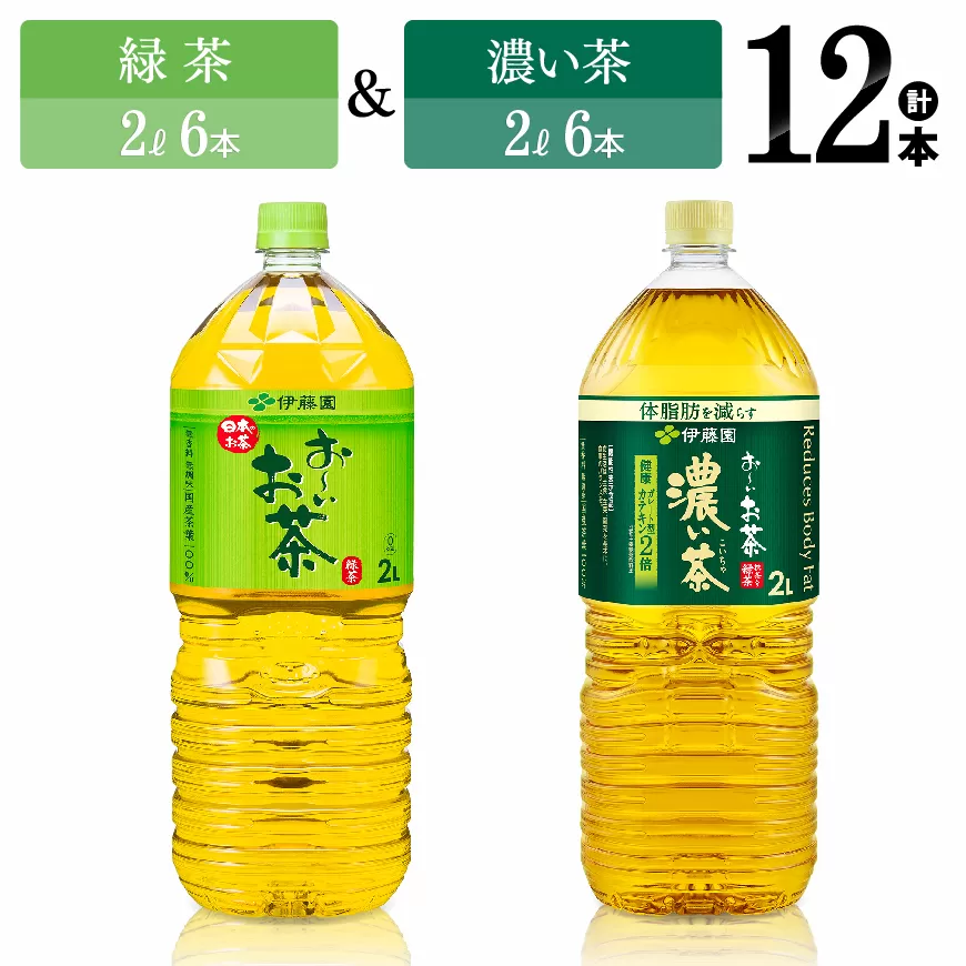 伊藤園 おーいお茶 緑茶(2L)&濃い茶(2L)(PET)12本 伊藤園お茶 飲料類お茶 緑茶お茶 お茶 濃い茶 PET お茶セット 詰め合わせお茶 飲みものお茶 お茶