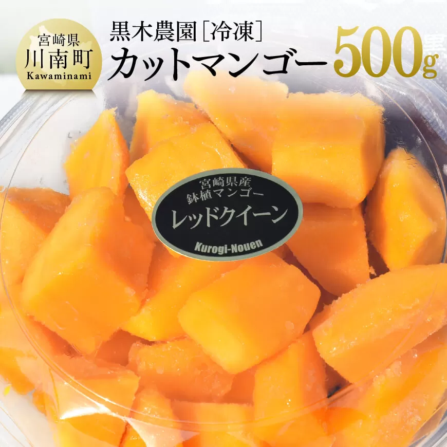 宮崎県産マンゴー 黒木農園の冷凍カットマンゴー(種なし)500g レッドクイーン マンゴー 果物 フルーツ スイーツ