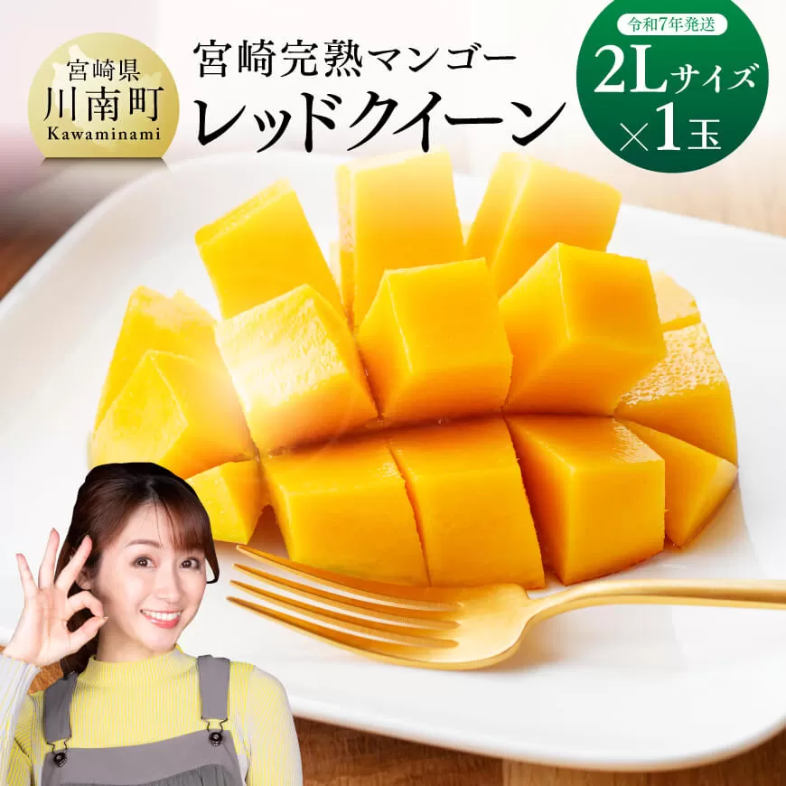 宮崎県産完熟マンゴー 2.5kg 家庭用|果物 宮崎県産完熟マンゴー 2.5kg 家庭用|果物