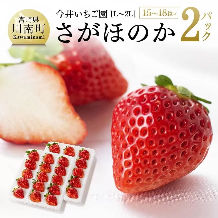 [令和8年発送]宮崎県産いちご さがほのかL〜2L(15〜18粒入)×2パック 国産 イチゴ 苺 くだもの 果物 期間限定 数量限定