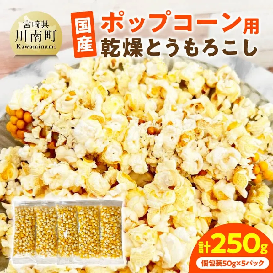 国産ポップコーン用（乾燥とうもろこし）　250g（個包装50g×5パック）  数量限定 期間限定 宮崎県産 ポップコーン